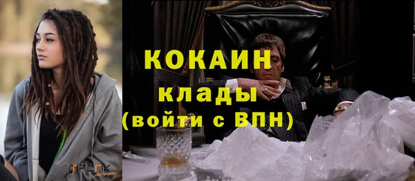 шишки Каменногорск