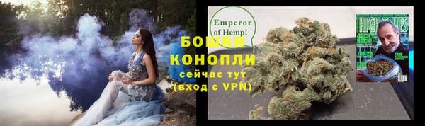 шишки Каменногорск