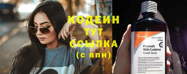 трава Карпинск