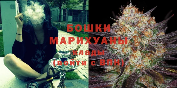 шишки Каменногорск