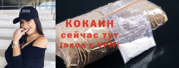 трава Карпинск