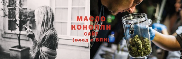шишки Каменногорск