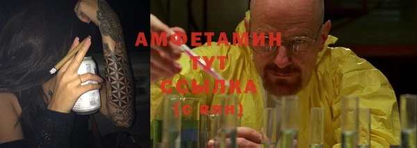 шишки Каменногорск