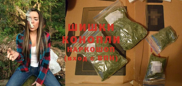 шишки Каменногорск