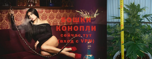 ПСИЛОЦИБИНОВЫЕ ГРИБЫ Касимов