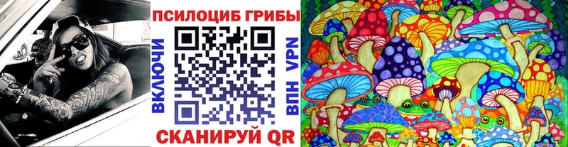 Купить  Тутаев  Псилоцибиновые грибы Magic Shrooms 
